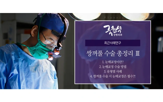 쌍꺼풀수술 총정리 3편 (눈매교정 수술밥법, 유형별 사례 등) 썸네일